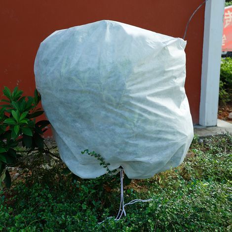 Protection anti-gel et insectes pour plantes - Couverture horticole non tissée (1/5)