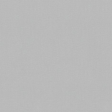 BRICOFLOR Papier peint uni Papier peint intissé Bleu Gris - 10,05 x 0,53 m (1/5)