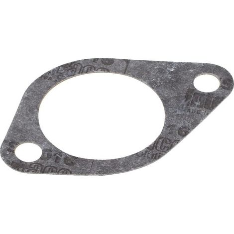 Guarnizione corpo termostato STEYR CASE 132000060720