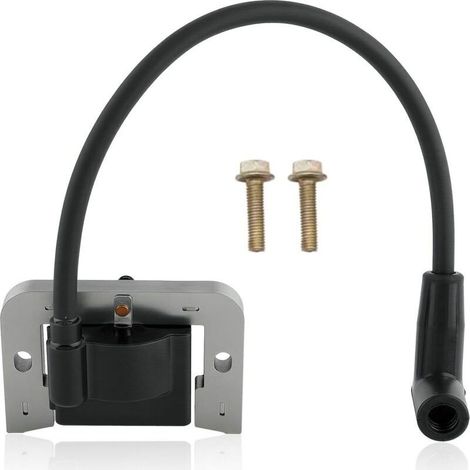 Bobine d'allumage pour 24 584 01-S 24-584-04-S 24 584 45-S avec boulons (1/3)
