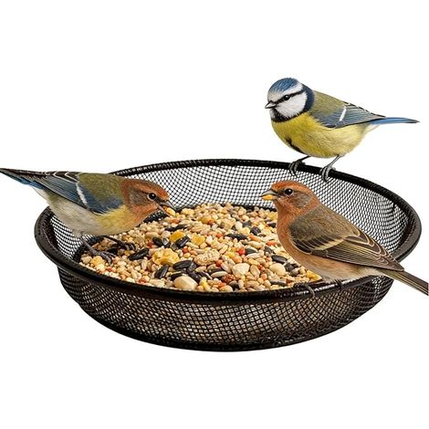 2 mangeoires de rousseurs extérieures assiette de nourriture en maille - mangeoire de plateau d'oiseau en métal antirouille - pour moineau, oiseau de couple, parc, Cour, terrasse, jardin, arrière - C (1/5)