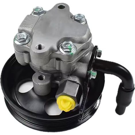 Le 571002W100 convient à la pompe de direction assistée des Hyundai Santa Fe 2012-2015 Kia Sorento 2.4L. (1/4)