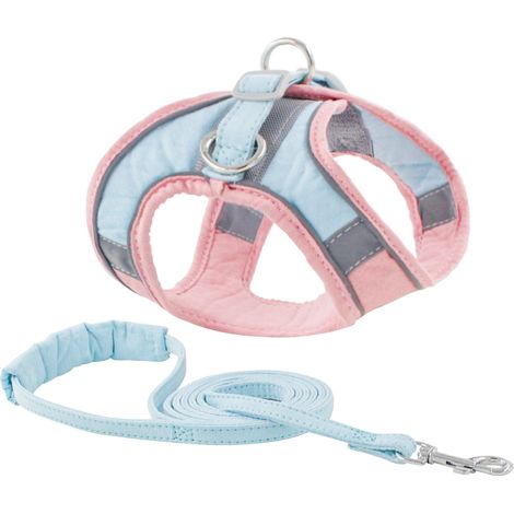 Harnais Chien - Filet Souple Réglable pour Chiens Petits et Chats Domestiques - avec Laisse Coordonnée - 1 Pièce (1/5)