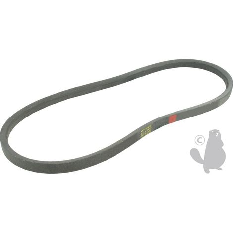 Riemen für Rasenmäher Marina - Modell: Bl5052sp/2009 - Herkunft: Cp047829. ( Herkunft: Cp047829 )