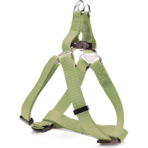 R - 1,5 x 30-40 cm Pettorina: (1/5)