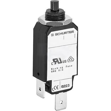 Interruptor Magnetotermico 240VCA 48VCC 10A