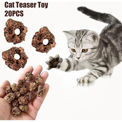 Cerioll Matatabi Cat Toys Fruit Shape Cat Toys 20 Pack Cat Fruit Cat Toys for Cats Teeth Cleaning Edible Dental Cat Toys Teeth Cleaning (1/4)