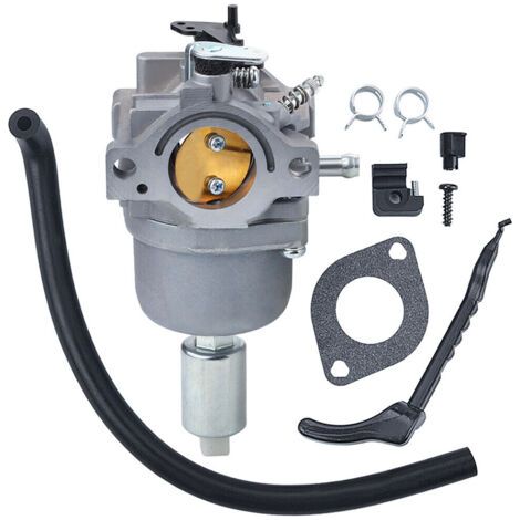 Vergaser 794572 für 791858, 791886, 287707, 287777, 28N707, 28N777, 28P777, Motoren mit 14 PS, 15 PS, 16 PS, 17 PS und 18 PS (1/5)
