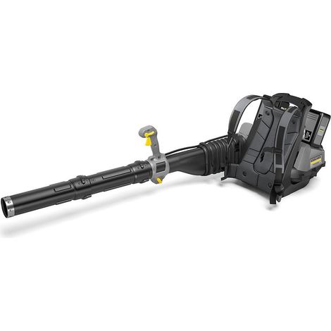 Kärcher – Souffleur à batterie 36V avec 1 batterie 6Ah – Débit d'air 1060 m³/h – Moteur Brushless silencieux – Pour nettoyage zones sensibles (1/5)
