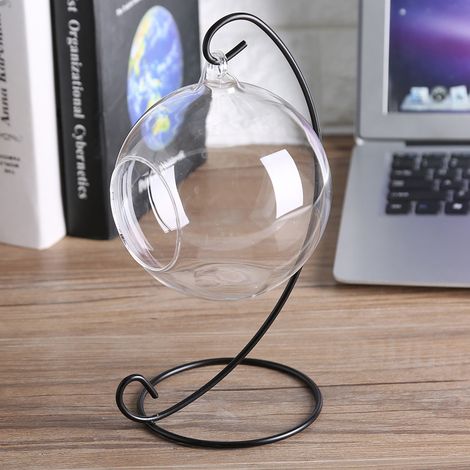 Großes hängendes Glas-Terrarium mit Rahmen für Luftpflanzen und Sukkulenten (1/5)
