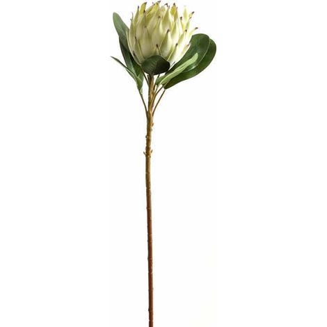Large Protea Artificial Plant - Plastic - L21 x W21 x H73 cm - White