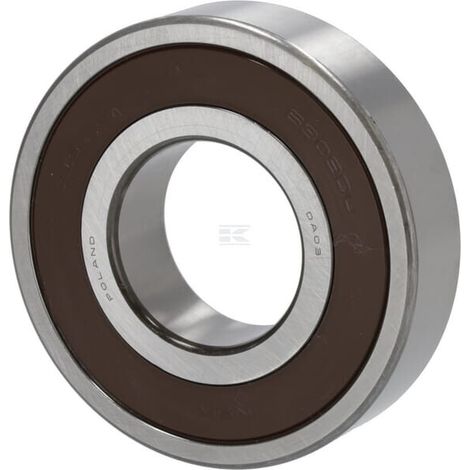 Rodam. bolas estr. 6309 2RS LEMKEN 3198644