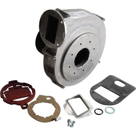 Ventilateur rg148/1200-3612 - DE DIETRICH CHAPPEE : S101725
