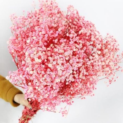 Roses gypsophiles sches Plus de 2 000 boutons floraux naturels Convient aux festivals mariages - 172 pouces (1/5)