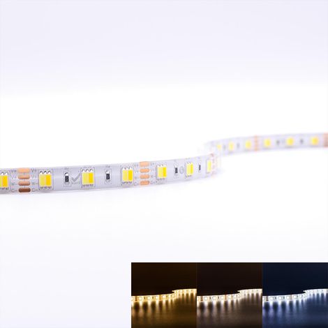 Strip 12V 5M 14,4W/m 60LED/m 10mm - Lichtfarbe: CCT 2700-6500K - Schutzart: IP65 (1/5)