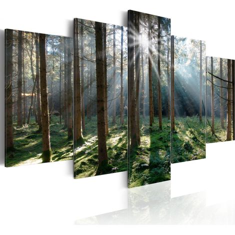 Quadro - Fairytale Forest  - 200x100 (1/4)