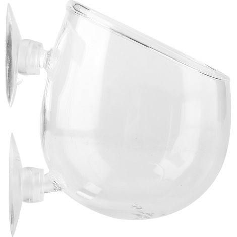 Lebende Aquarienpflanze im Topf – Mini-Teichdekoration für die Wasserlandschaft (1/5)