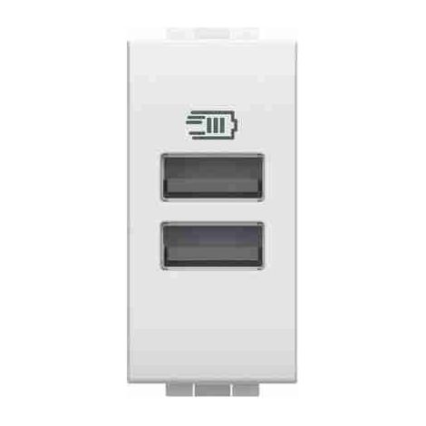 Cargador USB BTIN4191AA con 2 tomas USB