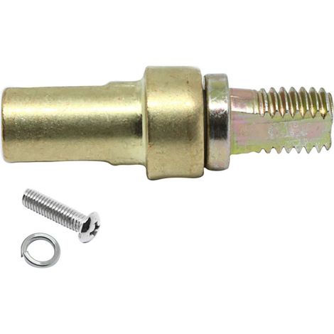 Cône Broche Pot San Ignacio Remplacement Facile, Durabilité Accrue - Bergner (1/2)