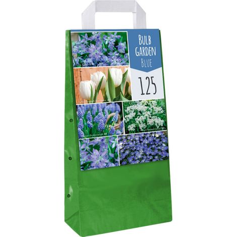 Mix de 125 bulbes de fleurs bleus – Scilles de Sibérie, tulipes, narcisses – Plantation septembre à décembre – Floraison mars à juin – JUB (1/2)