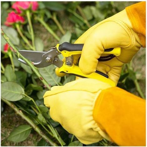 1 Paire Gants de protection,épine et ronce,taille 11.5cm,couleur brun,jardinage (1/5)
