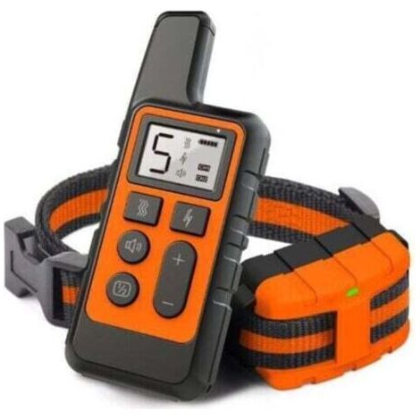 Collier de dressage pour chien, collier électrique étanche et rechargeable, télécommande 500 m