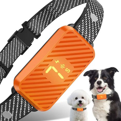 collier anti aboiement chien-Nouveaux accessoires colorés pour chiens de dressage/prévention des aboiements. (1/3)