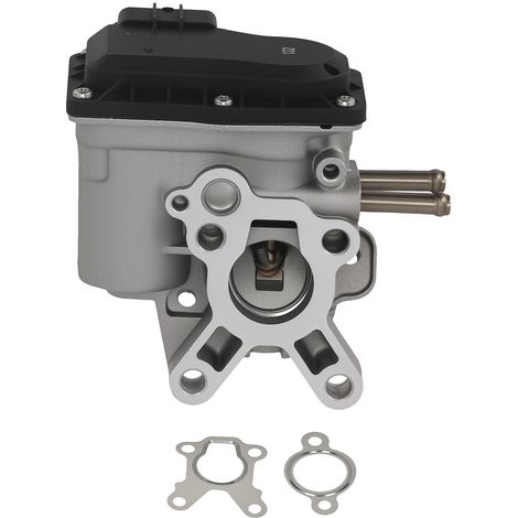 EGR Valve for Nissan Navara D22 D40 Pathfinder R51 2.5 2003-2015 14710-EC00D (1/5)