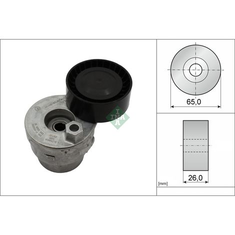 Tensor de correa trapezoidal 534026910 INA