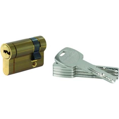 THIRARD - Lot de 10 demi-cylindres Transit 1 40x10mm, laitonné, 5 clés - THIRARD (1/5)
