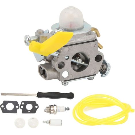 Carburateur pour taille-haies, filtration de carburant haute efficacité, compatible avec modèle C1U-H60, référence 308054043 (1/5)