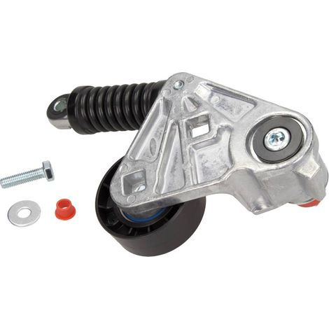 TENDEUR DE COURROIE À NERVURES MULTIPLES MAXGEAR FORD 2.0TDCI MONDEO/TRANSIT 2.0TDCI 00- (1/2)