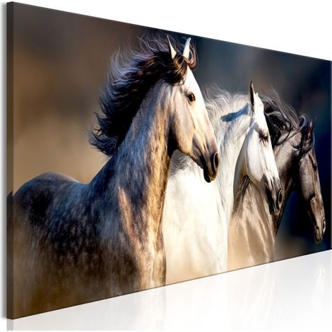 Tableau Imprimé "Sons of the Wind Narrow" 40 x 120 cm (1/2)