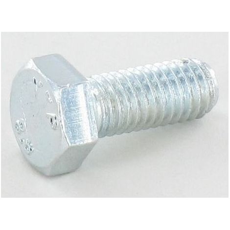 112789008/0 - Vis pour Tracteur & Tondeuse Castelgarden / GGP / STIGA