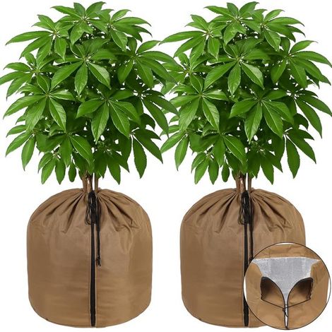 Funda protectora de dos piezas para plantas contra las heladas invernales - Forrada con papel de aluminio, con cremallera y cordón ajustable (65x70cm) - Marrón (1/5)