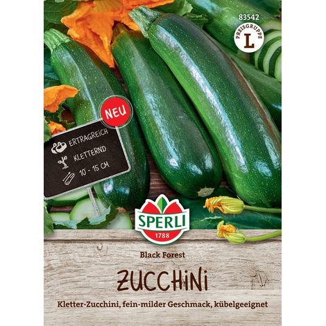 Sperli Zucchini Black Forest F1 - Gemüsesamen (1/2)
