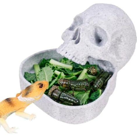 Bol d'alimentation pour reptiles sur le thème d'Halloween, bol (1/5)