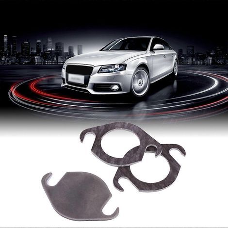 Kit de plaque d'obturation de vanne EGR avec joint, compatible avec SEAT GALAXY TDI (1/4)