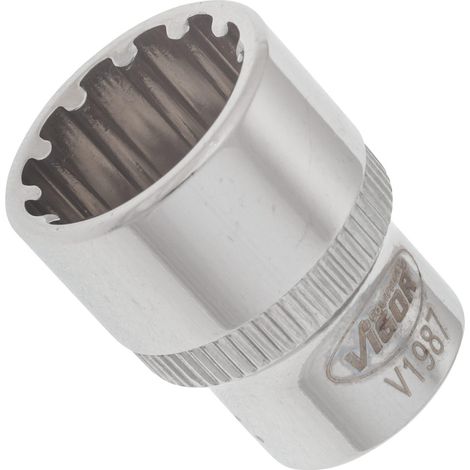 VIGOR Innenvierkant Antrieb 6,3 = 1/4 Zoll Multiprofil-Steckschlüssel-Einsatz Multiprofil V1987 Vierkant hohl 6,3 mm (1/4 Zoll) 14 Gesamtlänge: 25 mm (1/4)