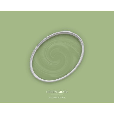 Peinture vert clair mat moderne et résistante Peinture facile à appliquer Peinture The Color Kitchen TCK4008 5L