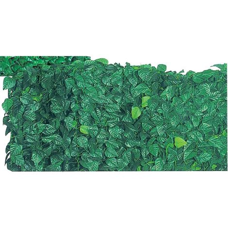 Arelle Semper Verdi Lauro MT. 1.50X20