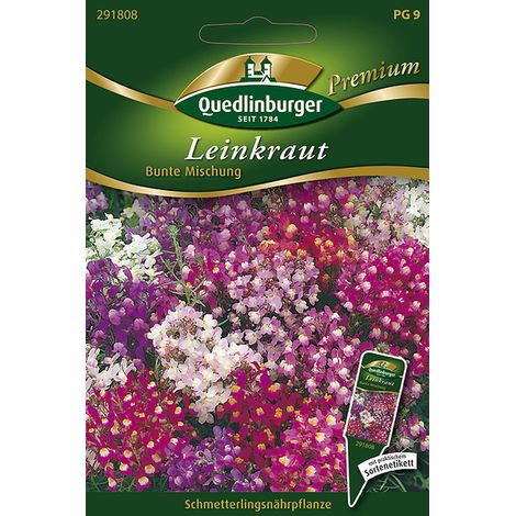 Quedlinburger Saatgut – Linaire du Maroc en mélange coloré – Graines de fleurs, port bas, hauteur env. 30 cm