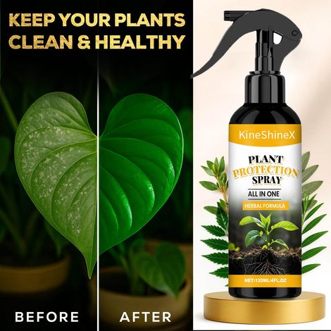 KineShineX Pflanzennährlösung, verdünnter Zimmerdünger für Grünpflanzen und Topfpflanzen, konzentriertes Spray zur Wiederherstellung abgestorbener Blätter (1/5)