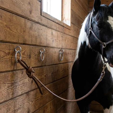 Anneaux d'attache pour chevaux avec vis à œillet, 3 pièces, acier argenté