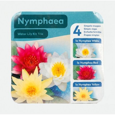 Nymphaea