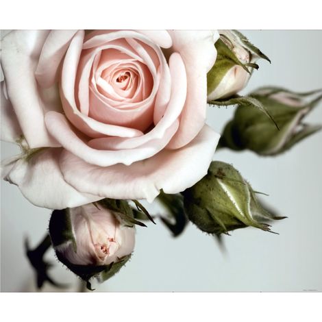 papier peint panoramique roses rose, vert et gris - Sanders & Sanders (1/4)