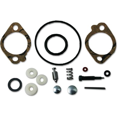 Kit revisión carburador motor BRIGGS & STRATTON Quantum 5 CV