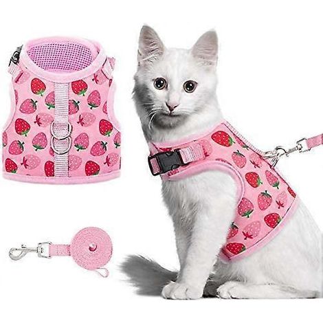 Harnais et laisse pour chat Fraise 2024 - Gilet en maille florale ajustable et anti-fugue pour chaton mignon (1/5)