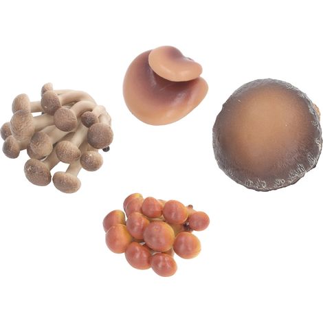 Ensemble de 4 figurines de champignons miniatures très réalistes, idéales pour la décoration éducative (Type 1). (1/5)