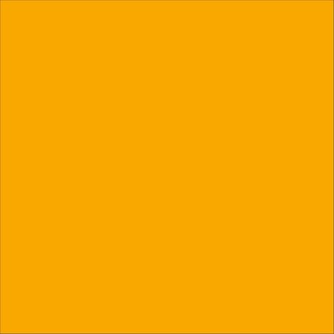 Ecolux smalto ecologico lucido acrilico ad acqua inodore per interno ed esterno tinta giallo - contenuto litri 0,750 - confezione 1